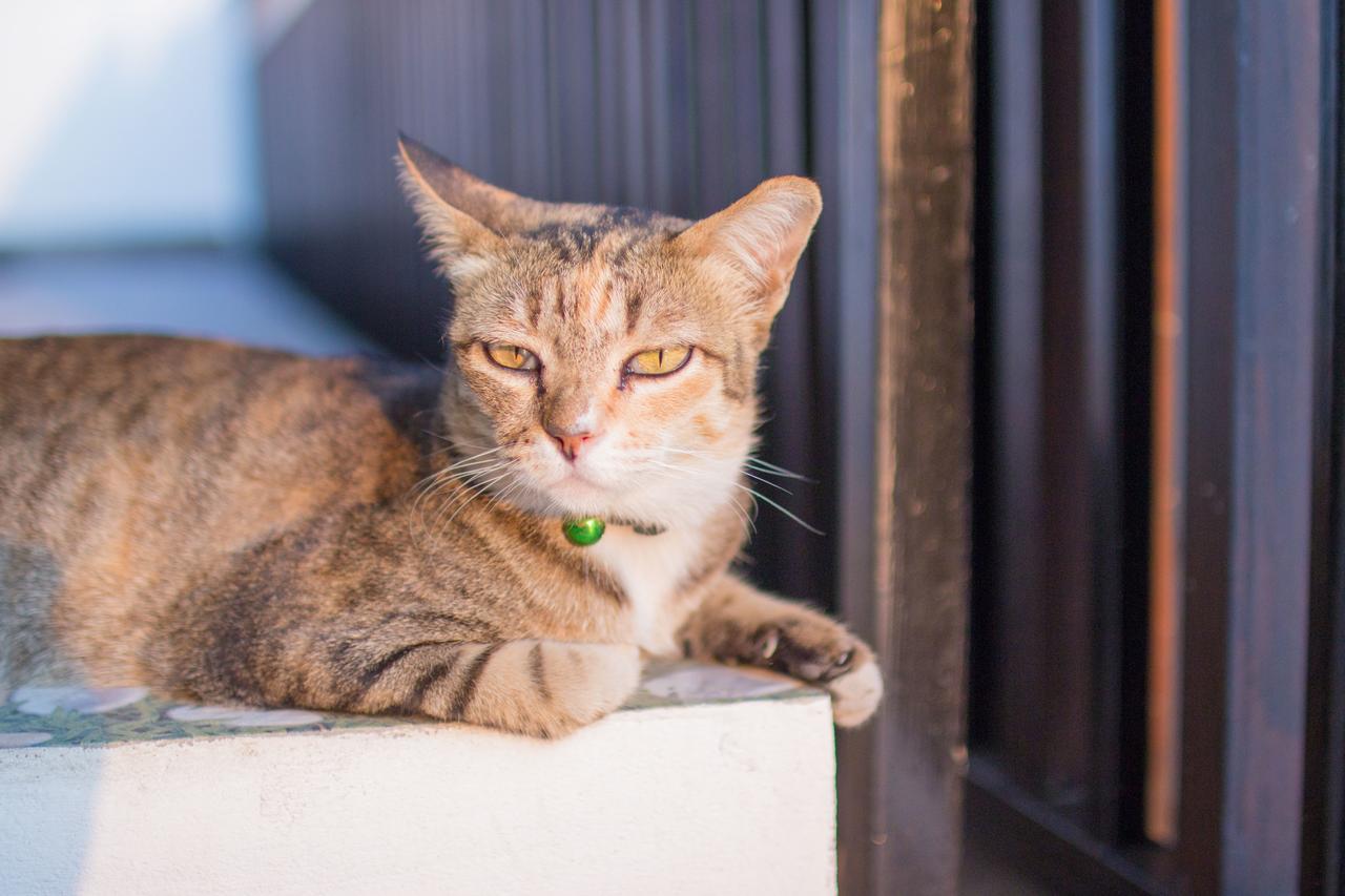 Melon Home By Melon Place Chiang Mai Bagian luar foto